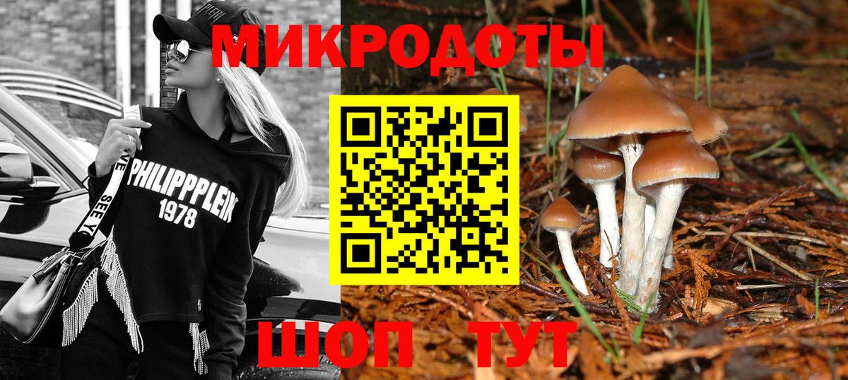 Галлюциногенные грибы Psilocybe Киржач